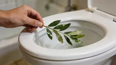 経験豊富な主婦が一日中トイレに月桂樹の葉を入れる理由：ほとんど知られていない興味深いライフハック