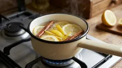 レモン皮とシナモンの煮込み:この混合物を使用することが推奨される理由と、その用途は?